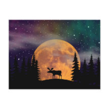 Nordnachtnordlichter