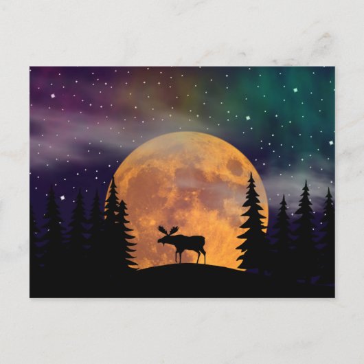 Nordnachtnordlichter Postkarte (Vorderseite)