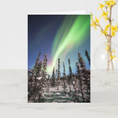 NordNationalpark der licht-| Denali Karte (Gelbe Blume)