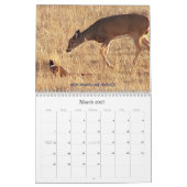 Nordnorth- dakotarotwild-Bilder Kalender (Mär 2027)