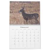Nordnorth- dakotarotwild-Bilder Kalender (Feb 2027)