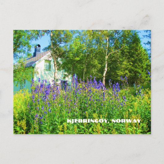 Nordnorwegische Postkarte (Vorderseite)