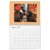Nordost-Boston Terrier Rescue 2022 Kalender (Feb 2026)
