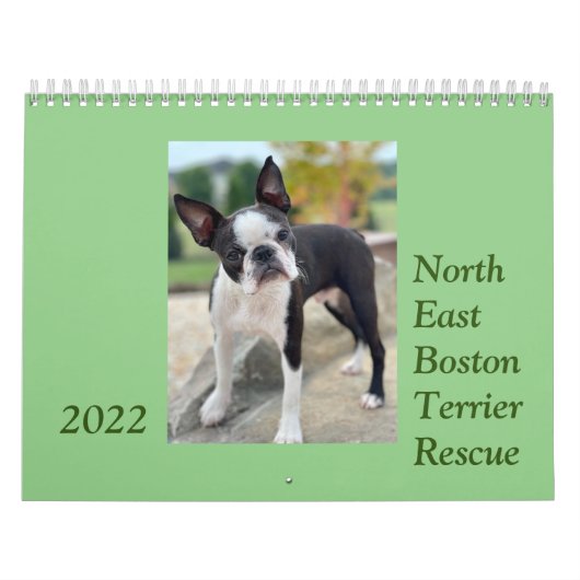 Nordost-Boston Terrier Rescue 2022 Kalender (Titelbild)