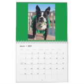 Nordost-Boston Terrier Rescue 2022 Kalender (Mär 2027)
