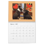 Nordost-Boston Terrier Rescue 2022 Kalender (Feb 2027)