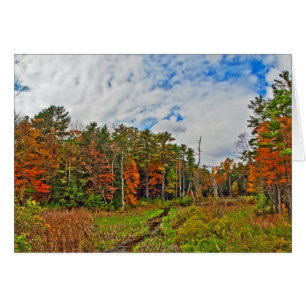 Nordost-Herbst