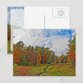Nordost-Herbst Postkarte (Vorne/Hinten)