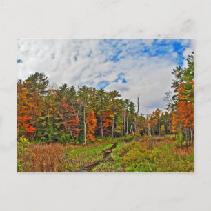 Nordost-Herbst Postkarte