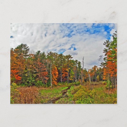 Nordost-Herbst Postkarte (Vorderseite)