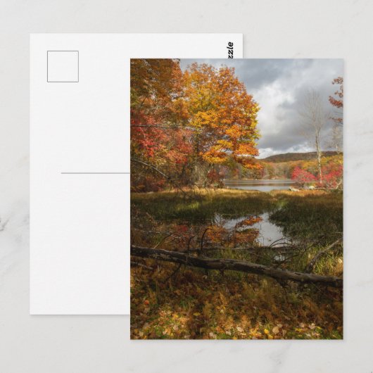 Nordost-Herbst Postkarte (Vorne/Hinten)
