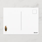 Nordost-Herbst Postkarte (Rückseite)