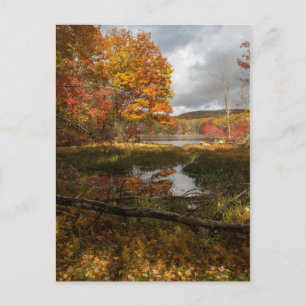 Nordost-Herbst Postkarte