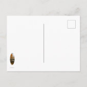 Nordost-Herbst Postkarte (Rückseite)