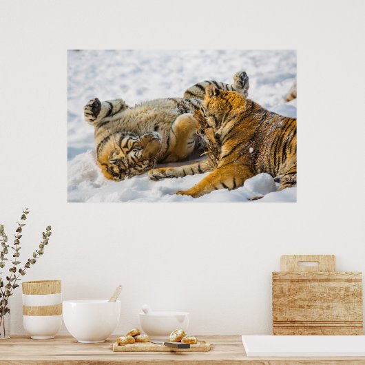 Nordost-Tiger Poster (Küche)