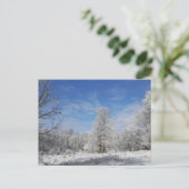 Nordost-Winter-Szene Postkarte (Stehend Vorderseite)