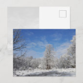 Nordost-Winter-Szene Postkarte (Vorne/Hinten)