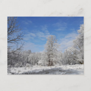 Nordost-Winter-Szene Postkarte