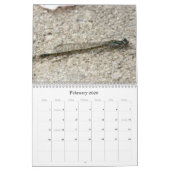 Nordostdrachenfliegen Damselflies 2013-Kalender Kalender (Feb 2026)