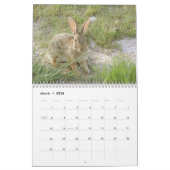 Nordöstliche New Mexiko-wild lebende Tiere 2009 Kalender (Mär 2026)
