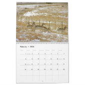 Nordöstliche New Mexiko-wild lebende Tiere 2009 Kalender (Feb 2026)