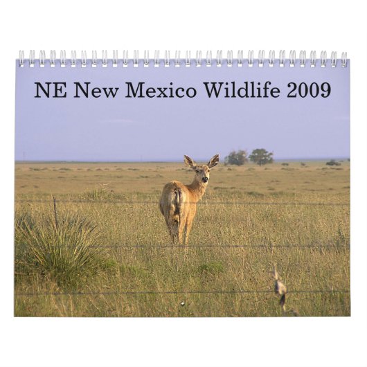 Nordöstliche New Mexiko-wild lebende Tiere 2009 Kalender (Titelbild)