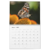 Nordöstliche Schmetterlinge 2013 - Kalender (Mär 2027)