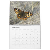 Nordöstliche Schmetterlinge 2019 - Kalender (Jan 2027)
