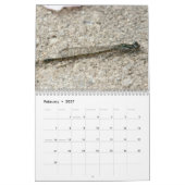 Nordöstlicher LibellenDamselflieskalender Kalender (Feb 2027)