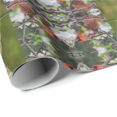 Nordpaare Kardinal Geschenkpapier (Rolleneckpunkt)