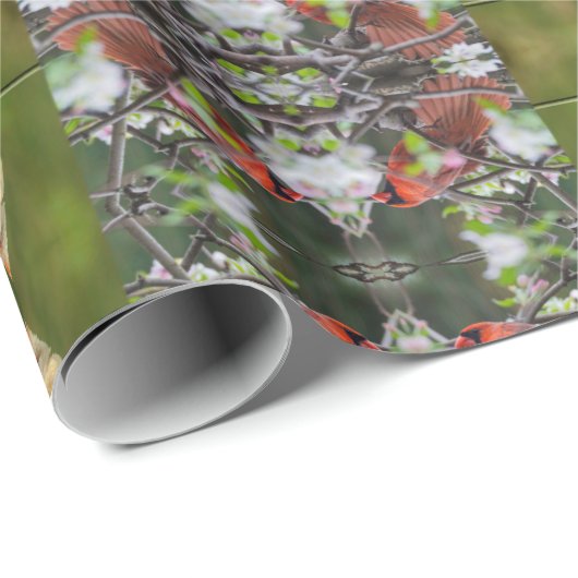 Nordpaare Kardinal Geschenkpapier (Rolleneckpunkt)