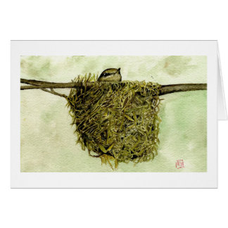 Nordparula-Nest