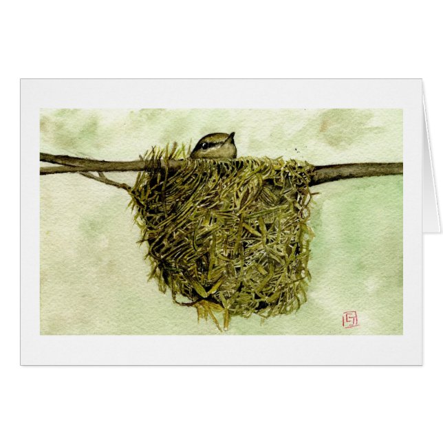 Nordparula-Nest (Vorderseite (Horizontal))