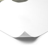 Nordpike Poster (Ecke)