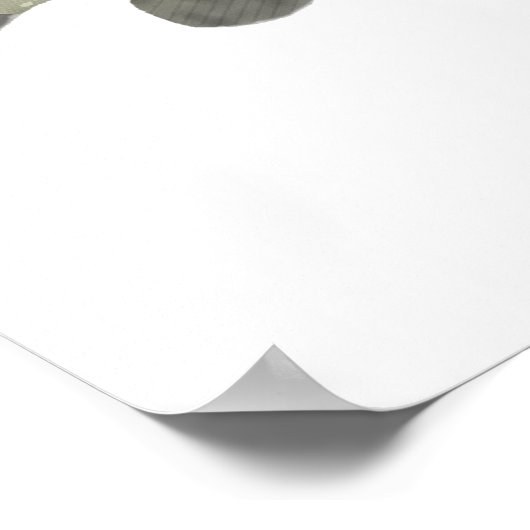 Nordpike Poster (Ecke)