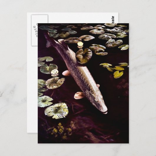 Nordpike Postkarte (Vorne/Hinten)