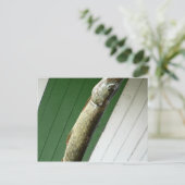 Nordpike Postkarte (Stehend Vorderseite)