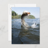 Nordpike Postkarte (Vorne/Hinten)