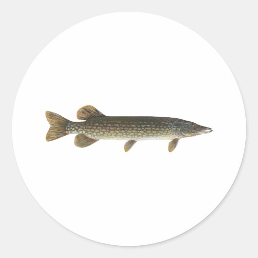 Nordpike Runder Aufkleber (Vorderseite)