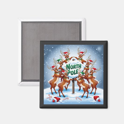 Nordpol Magnet (Vorderseite/Rückseite)