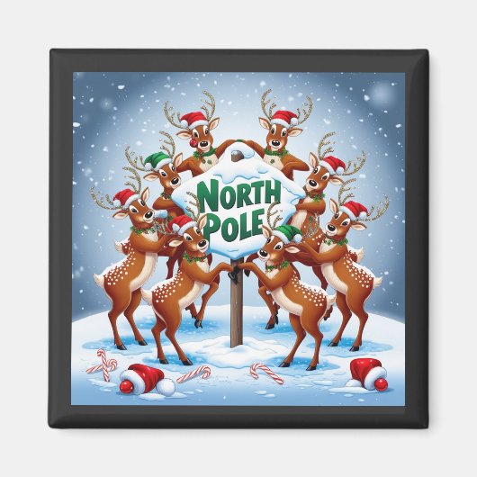 Nordpol Magnet (Vorne)