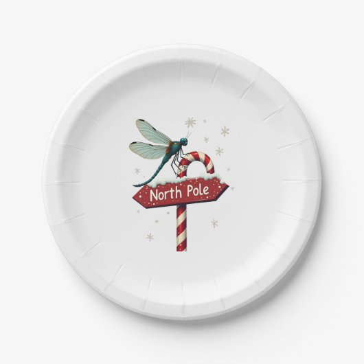 Nordpol Pappteller (Vorderseite)