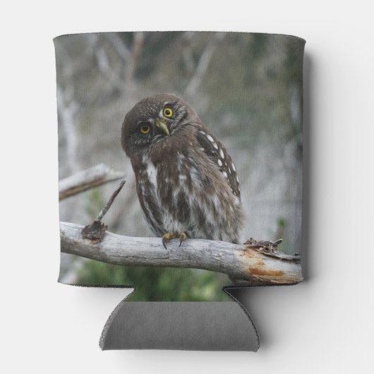 Nordpygmäuse Dosenkühler (Rückseite)