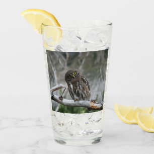 Nordpygmäuse Glas