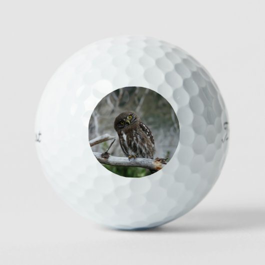 Nordpygmäuse Golfball (Vorderseite)