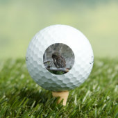 Nordpygmäuse Golfball (Insitu T-Shirt)
