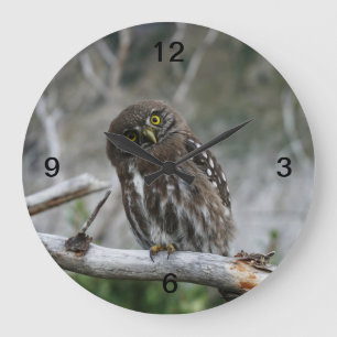 Nordpygmäuse Große Wanduhr