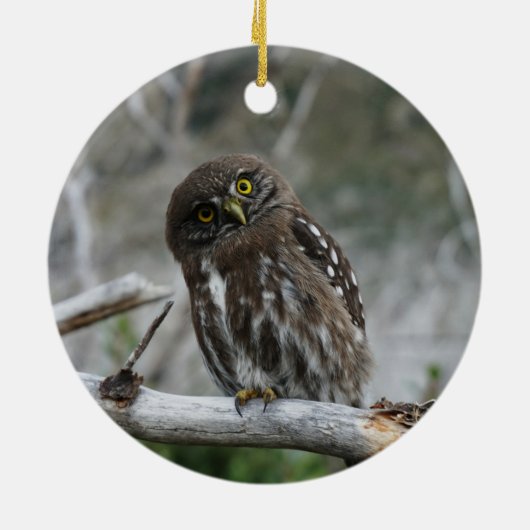 Nordpygmäuse Keramik Ornament (Hinten)