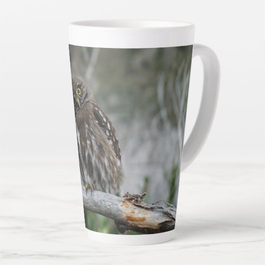 Nordpygmäuse Milchtasse (Rechte Ecke)