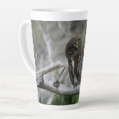 Nordpygmäuse Milchtasse (Linke Ecke)